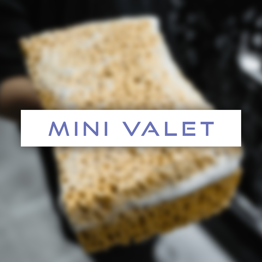 Mini Valets